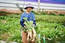 680224 วันบวร ชาวชุมชนสีแดง และ นร.ม.1 ปลูกหัวไชเท้า 59.jpg