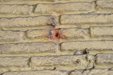 DSC_0191.JPG