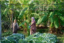 680120 สสธ.ม.4 ชาวชุมชน ถางหญ้า ทำแปลงสวนทำกิน 41.jpg