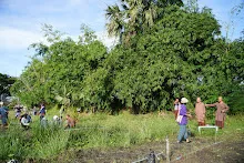 671021 วันบวร รวมสี ถางหญ้า สวนเพื่อฟ้าดิน7.jpg