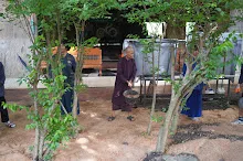 680602 สมุนพระราม และ สสธ.ขนทรายและปรับพื้นที่หน้าเฮือนศูนย์สูญ 144.JPG