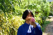680202 สสธ.ม.3 ฝึกหัดเพาะชำต้นไม้แบบควบแน่น ไปสวนไวพลัง 103.jpg