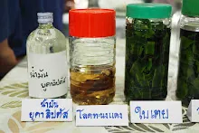 680322 ตลาดนัดวิชาการ สส.ธ. 233.jpeg