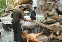 680511 ภาพโฮมแฮงขัดนำตกองค์พระพุทธธาในวันวิสาขฯ 92.jpeg