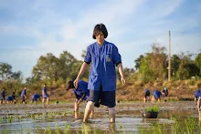680111 กิจกรรมดำนาวันเด็กแห่งชาติ ของนร.สสธ.และสมุนพระราม 43.jpg