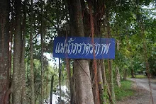 680703 เด็กสมุนพระรามนั่งรถไฟไปปฐมอโศก ร่วมงาน ๙๐ ปี ลุงจำลอง 284.jpeg
