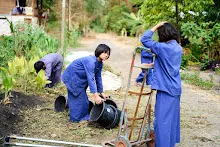 680224 วันบวร สมุนพระรามทำแปลงคอสมอส ข้างสนามเด็กเล่น 31.jpg