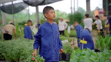 680410 สมุนพระรามนำต้นกล้าดอกไม้ที่เพาะไว้ออกขายเป็นครั้งแรกในตลาดอาริยะ 20.jpg