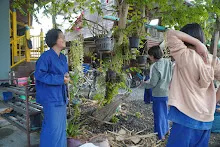 680110 สมุนพระราม ทำ 5 ส ปลูกต้นองุ่น ปรับปรุงแปลงดอกไม้ 16.jpg