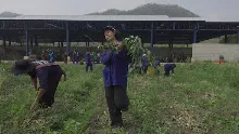 690306 สสธ ม1  ร่วมงานพุทธา ไปเนินพอกิน 41.JPG