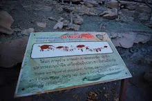 IMG_1287.JPG