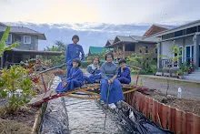 671211 สมุนพระรามถ่ายภาพที่สะพานสวนน่ารัก เก็บผักบุ้งที่นาผักบุุ้ง 2.jpg