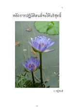 หลักการปฏิบัติตนที่จะให้บริสุทธิ์.pdf