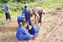 680714 สมุนพระรามร่วมงานวันบวร ถอนหญ้าสวนกตัญญูแผ่นดิน 47.JPG