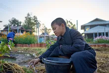 680608 สมุนพระรามเก็บเมล็ดพันธุ์ดอกไม้กินได้ที่สวน ไปขนดินปลูก 12.jpg