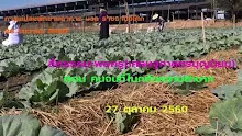 สื่อธรรมะพ่อครู(เศรษฐศาสตร์บุญนิยม) ตอน คนจนที่ไม่กลัวความลำบาก.mp4