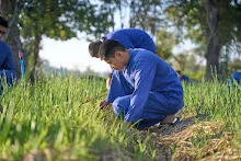 671217 สสธ.และชาวชุมขนไปถอนหญ้า แปลงหอมกระเทียม สวน 255 134.jpg