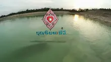 สื่อธรรมะพ่อครู(สุขภาพบุญนิยม) ตอน ออกกำลังกาย เอาพิษออก.mp4