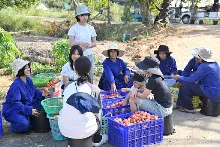 680209-12 นร. Horizon Middle School จาเกาหลี ศึกษาวัฒนธรรมบุญนิยม  บ้านราช 18.jpg