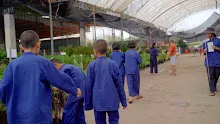 680410 สมุนพระรามนำต้นกล้าดอกไม้ที่เพาะไว้ออกขายเป็นครั้งแรกในตลาดอาริยะ 3.jpg