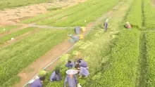 สื่อธรรมะพ่อครู(เศรษฐศาสตร์บุญนิยม) ตอน มาทำแก่นชีพ เชื้อชาติพุทธให้รุดหน้าเกินพัน.mp4