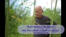 สื่อธรรมะพ่อครู(สมาธิพุทธ) ตอน มิจฉาวณิชชา5 เน้นที่อย่าขายอาวุธ.mp4