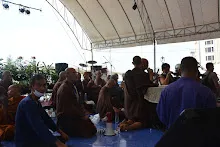 DSC_8158.JPG
