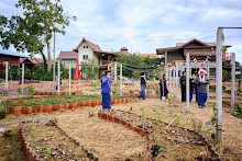 671216 สมุนพระราม ห่มดินสวนน่ารักด้วยฟางข้าว วัดระดับน้ำคลองไส้ไก่ 41.jpg