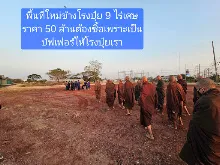 680209 เดินตามรอยโพธิสัตว์ งานพุทธาฯปฐมอโศก ต้นทองหลาง สังเคราะห์แสง 17.jpeg