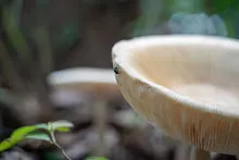 A7C00276.jpg
