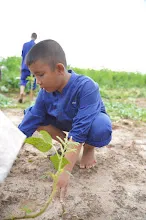 680616 สมุนพระรามไปขุดมันเทศริมมูลและเก็บเมล็ดถั่วลิสงเรี่ยดิน วันบวรกับชาวชุมชนกลุ่มสีส้ม 36.JPG