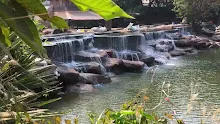 สื่อธรรมะพ่อครู(เศรษฐศาสตร์บุญนิยม) ตอน เราควรดำเนินชีวิตอย่างไรในสังคม.mp4