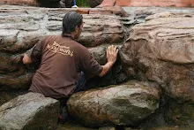 680511 ภาพโฮมแฮงขัดนำตกองค์พระพุทธธาในวันวิสาขฯ 12.jpeg