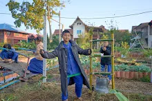 680608 สมุนพระรามเก็บเมล็ดพันธุ์ดอกไม้กินได้ที่สวน ไปขนดินปลูก 67.jpg
