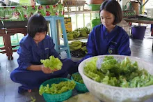 680609 เด็กสมุนพระราม ทำสลัดโรลขึ้นศาลาฉัน 23.JPG
