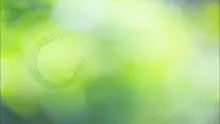 ประโยคทองของพ่อครู ตอน อานิสงส์​ ๕ ประการของการฟังธรรม-_.mp4