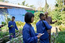 680202 สสธ.ม.3 ฝึกหัดเพาะชำต้นไม้แบบควบแน่น ไปสวนไวพลัง 42.jpg