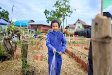 671216 สมุนพระราม ห่มดินสวนน่ารักด้วยฟางข้าว วัดระดับน้ำคลองไส้ไก่ 34.jpg