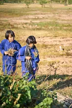 671221 เช้าสมุนพระรามดูแลสวน และขนหินทำน้ำตก บ่ายเล่นเกมกับครูโหน่ง 216.jpg