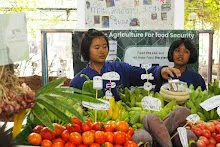 680322 ตลาดนัดวิชาการ สส.ธ. 208.jpeg
