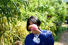 680202 สสธ.ม.3 ฝึกหัดเพาะชำต้นไม้แบบควบแน่น ไปสวนไวพลัง 101.jpg