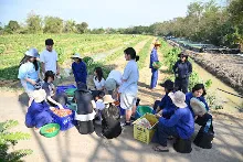 680209-12 นร. Horizon Middle School จาเกาหลี ศึกษาวัฒนธรรมบุญนิยม  บ้านราช 33.jpg