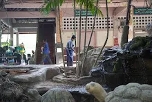 671223 สสธ.และชาวบ้านราช ทำ 5 ส.ก่อนงานปีใหม่ 68.jpg