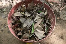 680602 วันบวรบ้านราช 56.jpg