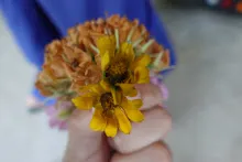 680202 สสธ.ม.3 ฝึกหัดเพาะชำต้นไม้แบบควบแน่น ไปสวนไวพลัง 281.JPG