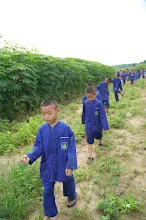 680616 สมุนพระรามไปขุดมันเทศริมมูลและเก็บเมล็ดถั่วลิสงเรี่ยดิน วันบวรกับชาวชุมชนกลุ่มสีส้ม 80.JPG