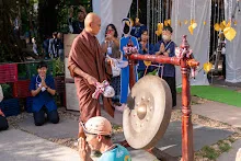 DSC03270.jpg