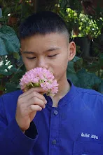 680202 สสธ.ม.3 ฝึกหัดเพาะชำต้นไม้แบบควบแน่น ไปสวนไวพลัง 272.JPG