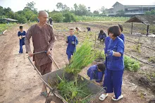 680714 สมุนพระรามร่วมงานวันบวร ถอนหญ้าสวนกตัญญูแผ่นดิน 25.JPG