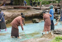 680511 ภาพโฮมแฮงขัดนำตกองค์พระพุทธธาในวันวิสาขฯ 24.jpeg